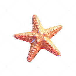 海星特写海洋生物图片