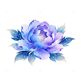 水彩蓝牡丹花卉插画