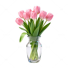 清新郁金香花瓶