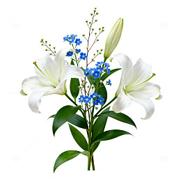 鲜花百合花束装饰设计素材