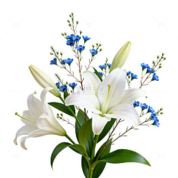 鲜花束百合蓝花装饰