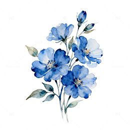 水彩蓝花插画设计素材