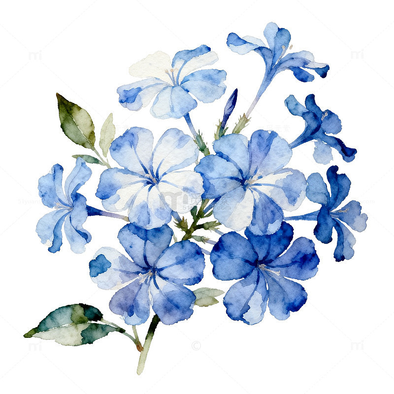 水彩蓝花绽放艺术装饰画