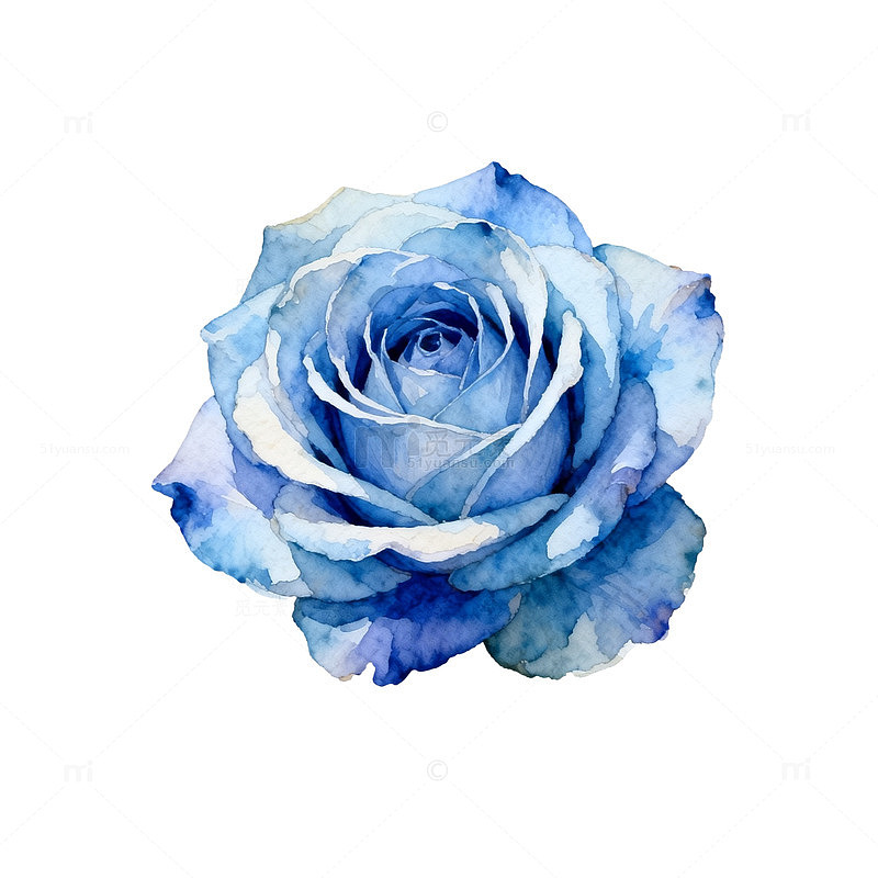 蓝色玫瑰水彩画素材