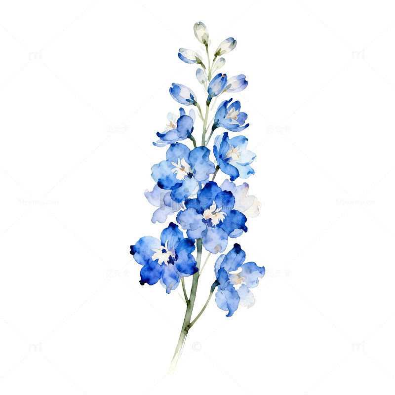 蓝色花卉手绘插画素材