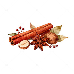 水彩风香料组合手绘插画设计素材