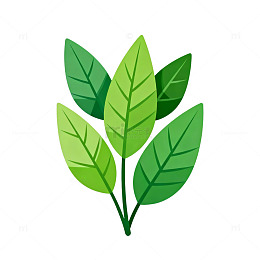 扁平风绿叶植物插画设计素材