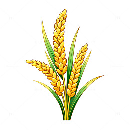 卡通风格小麦植株插画设计素材