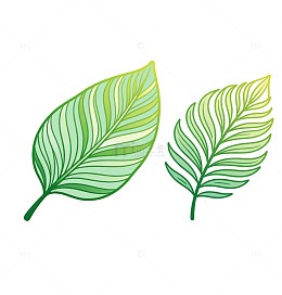 极简 单线 小叶片 浅绿