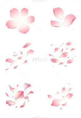 简笔花瓣碎片手绘