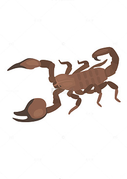 卡通风格棕色蝎子插画设计素材