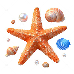 写实风海洋生物海星贝壳设计素材