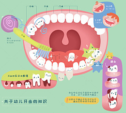 口腔健康护理刷牙牙齿周期儿童知识科普插画