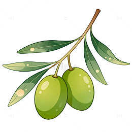 手绘风橄榄枝果实插画设计素材