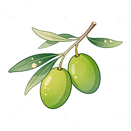 卡通风格橄榄枝果实插画设计素材