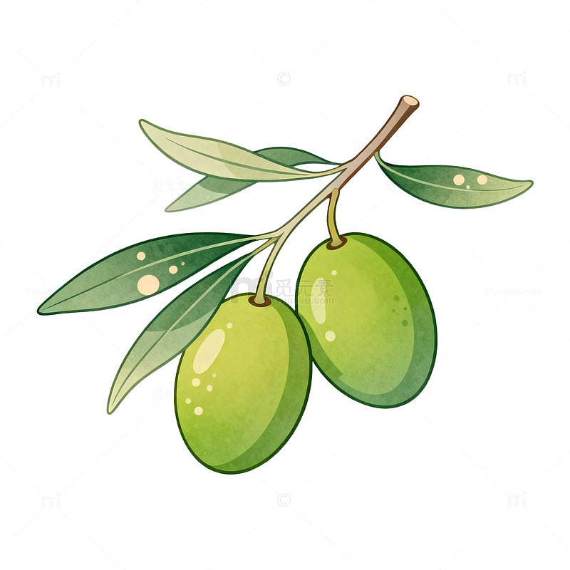 卡通风格橄榄枝果实插画设计素材