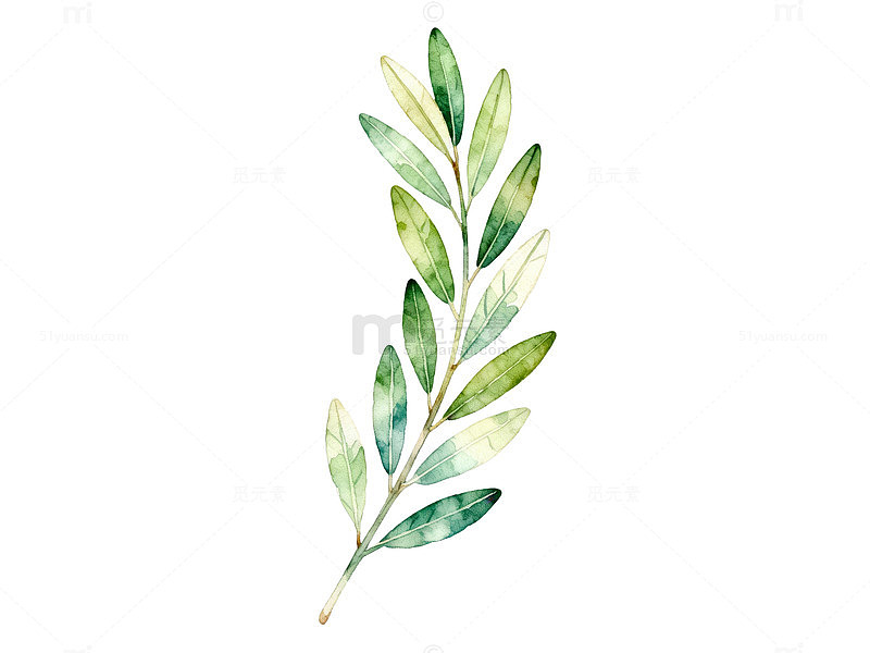 水彩风绿叶枝条手绘植物设计素材