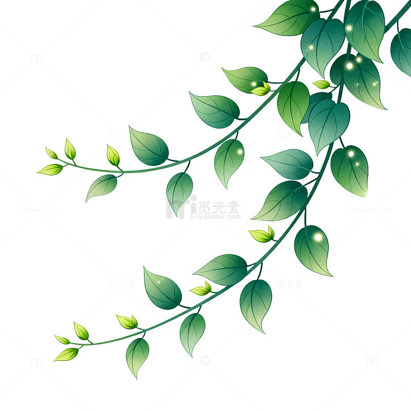 清新风绿叶藤蔓植物矢量设计素材