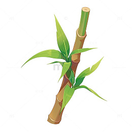 翠绿竹笋的生命激荡