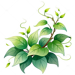 手绘风绿叶藤蔓植物插画素材