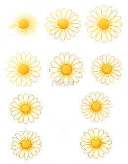 花瓣白黄渐变小花