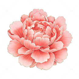 手绘风粉色牡丹花卉设计素材