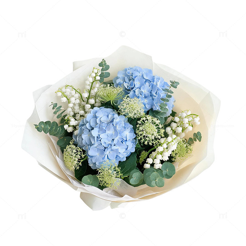 清新风蓝色绣球花束包装设计素材