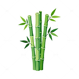 卡通风格竹子植物插画设计素材