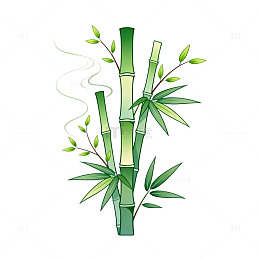 手绘风竹子植物插画设计素材