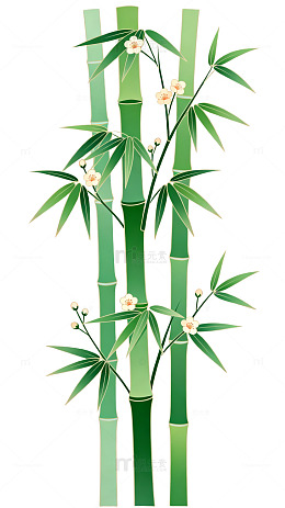 矢量风竹子花卉插画设计素材