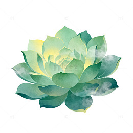 水彩风多肉植物手绘插画设计素材