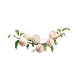 插画风桃子枝条手绘水果设计素材