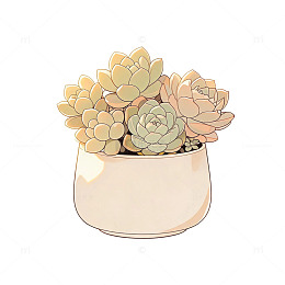 手绘风多肉植物盆栽插画素材