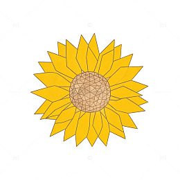 线条风向日葵花朵矢量设计素材