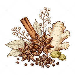 复古手绘香料植物插画设计素材