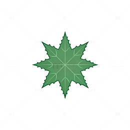 简约风绿色星形叶子矢量设计素材