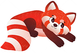 小熊猫宝宝可爱动物卡通插画