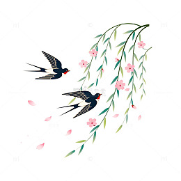 水彩风燕子樱花枝手绘插画设计素材