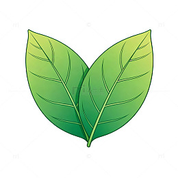 矢量风绿色植物叶子设计素材