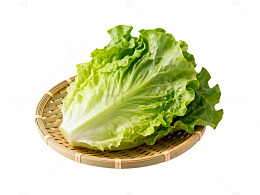 清新风生菜特写素材