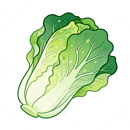 卡通风格生菜蔬菜插画设计素材