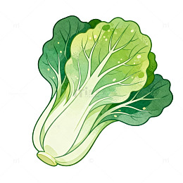 卡通风格白菜蔬菜插画设计素材