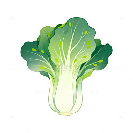 卡通风格新鲜生菜蔬菜插画设计素材