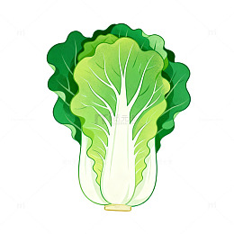 卡通风格生菜蔬菜插画设计素材
