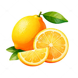 插画风柠檬水果切片设计素材