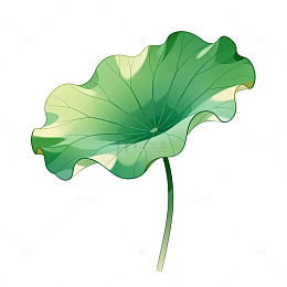 矢量风荷叶植物插画设计素材