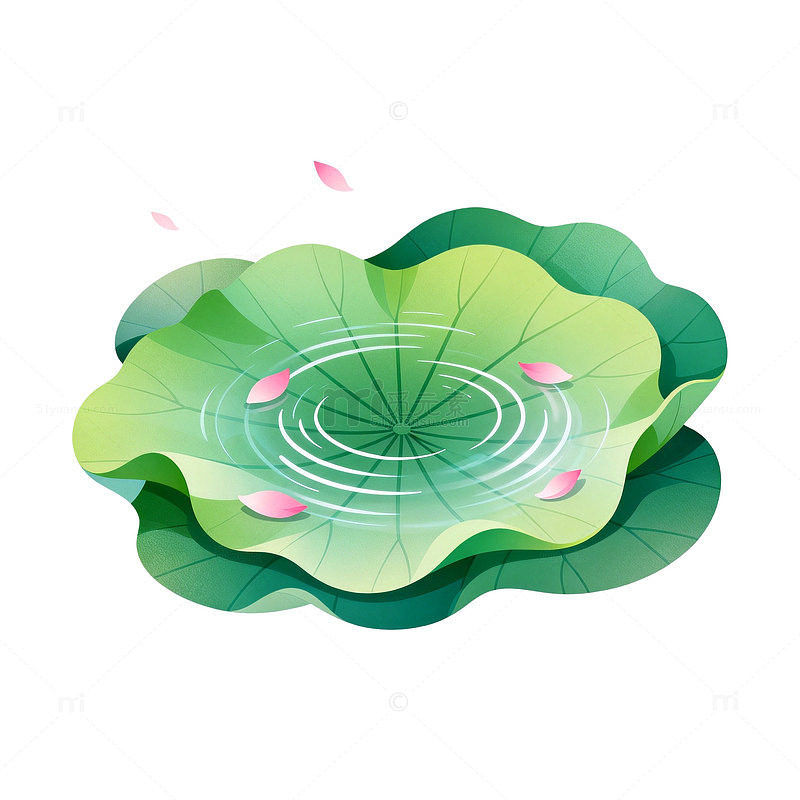 扁平风荷叶涟漪插画设计素材