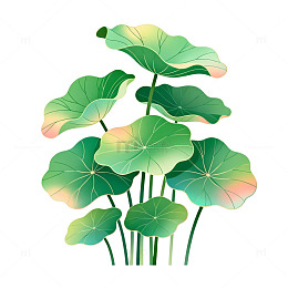插画风荷叶植物矢量设计素材