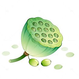 卡通风格莲蓬果实插画设计素材