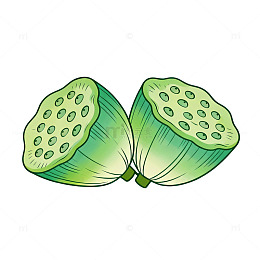 卡通风格莲蓬插画设计素材
